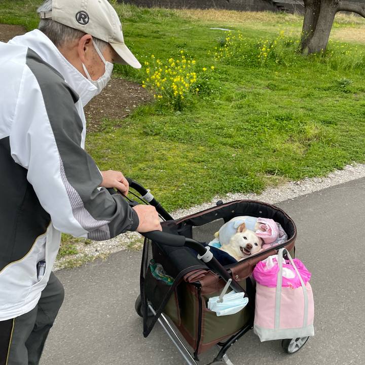 A89e3f4f f4ee 499d a234 ad8a2e853834 1679479446610