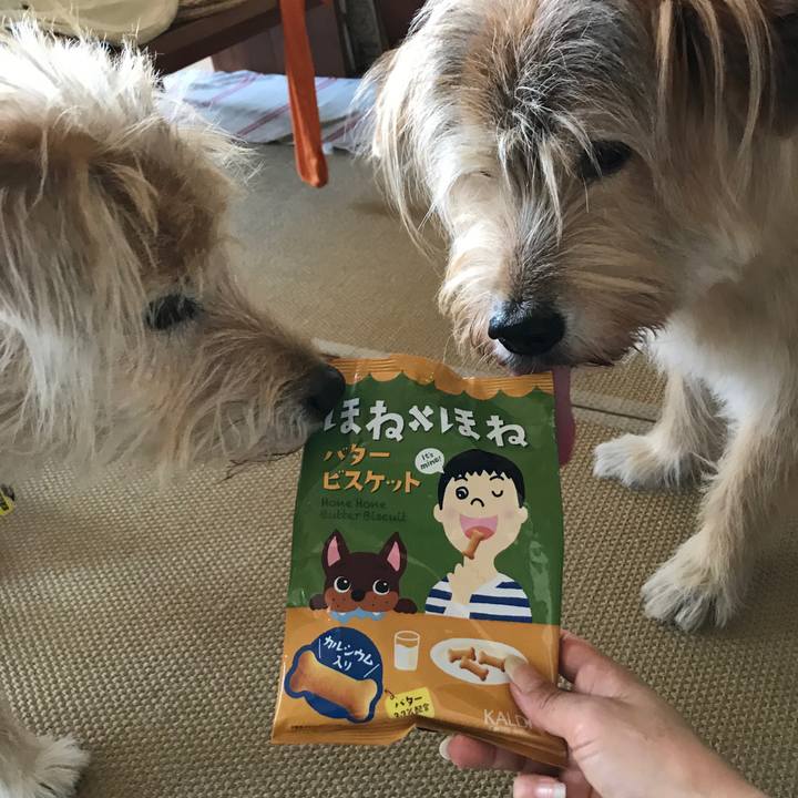 A89e4d6d e920 4332 bc82 2cbab59755d4 1573191222944