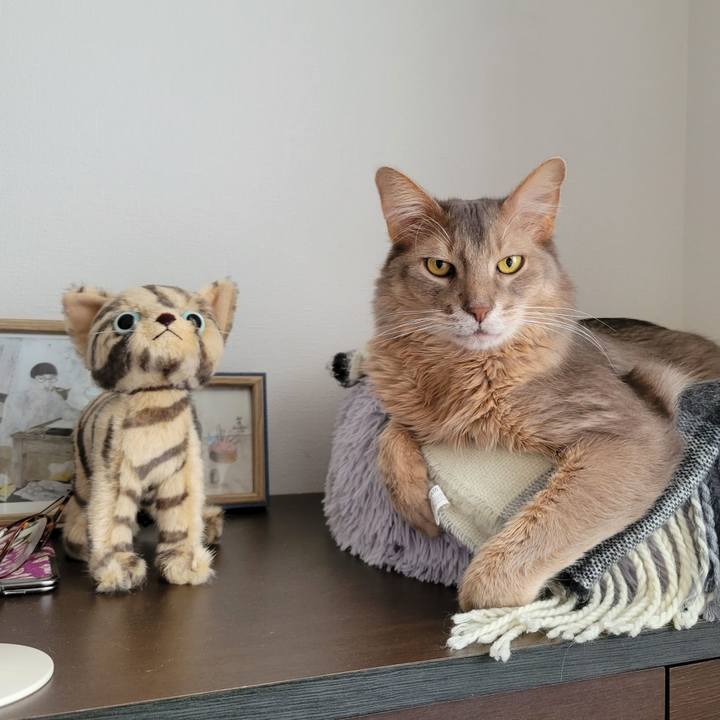 A89e5581 dd86 43d4 a5e4 4f167980eff8 1678667374143