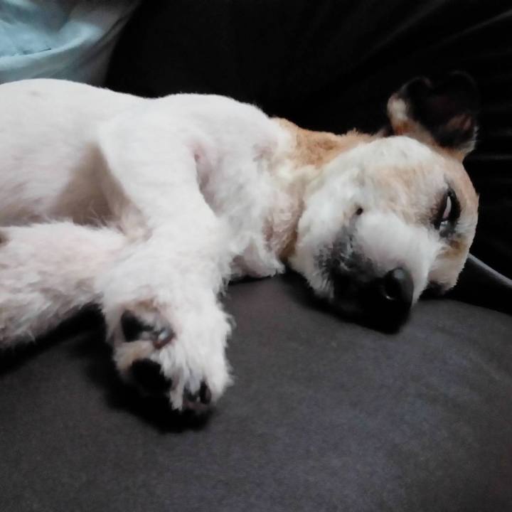 A89ea112 3b81 4fe4 839e f37f8972df4b 1588072960338