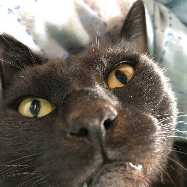 A89ece79 6da7 449a 9c6b d8a172970498 1664678093734