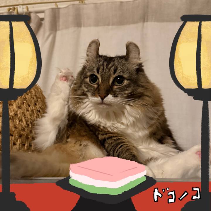 A89ed2dd da38 4d50 b55e a5e8109413cb 1741105684591