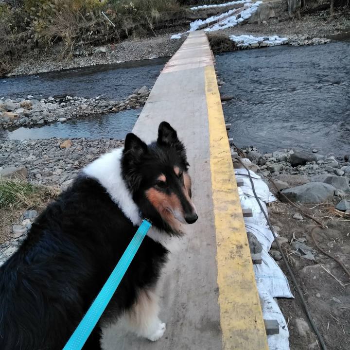 A89ef8a1 6e9a 46af b376 9604f1f3d9c2 1511182546062