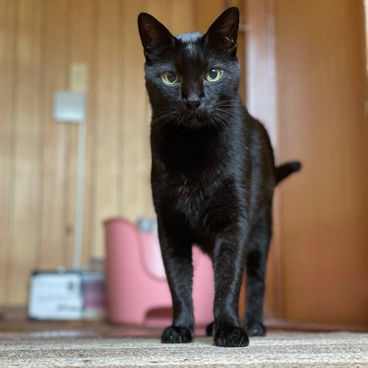 A89f0f4d 0583 4caa 8c46 f961babfb461 1632879749439