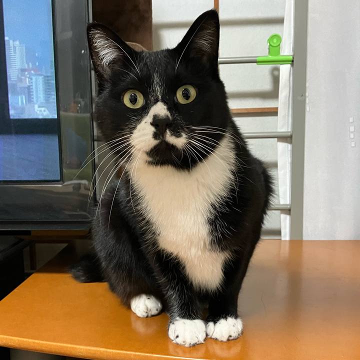 A89f273a b111 4854 b4c2 25f48d3838e3 1673408240236