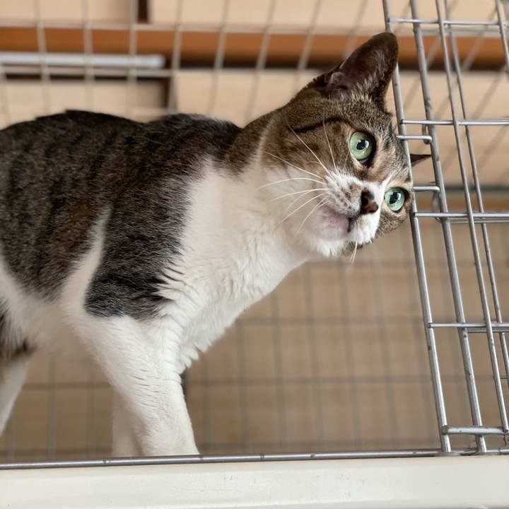 A89f3adf 4db6 4efa af46 5643b3a7ca23 1654562025719