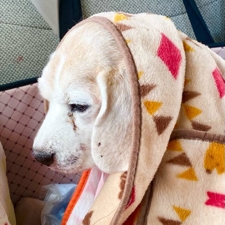 A89f5c26 2df1 41d9 a12d 6bcb9ddab72b 1671113890834