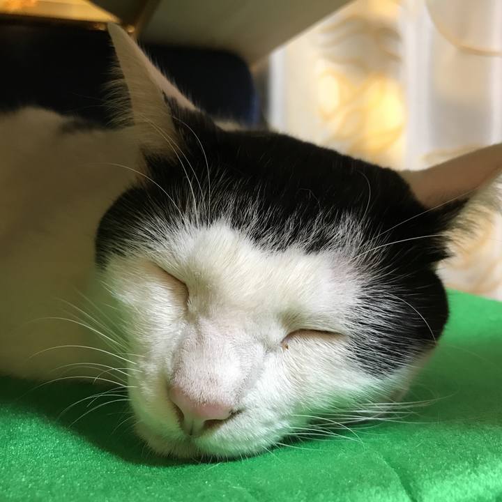 A89f8139 95ec 4c91 be2f 74d9c544e1a2 1508150736514