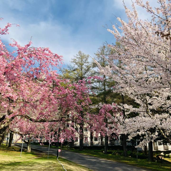 A89fa707 8167 4690 b00d e887a5e2a3e3 1776820684868