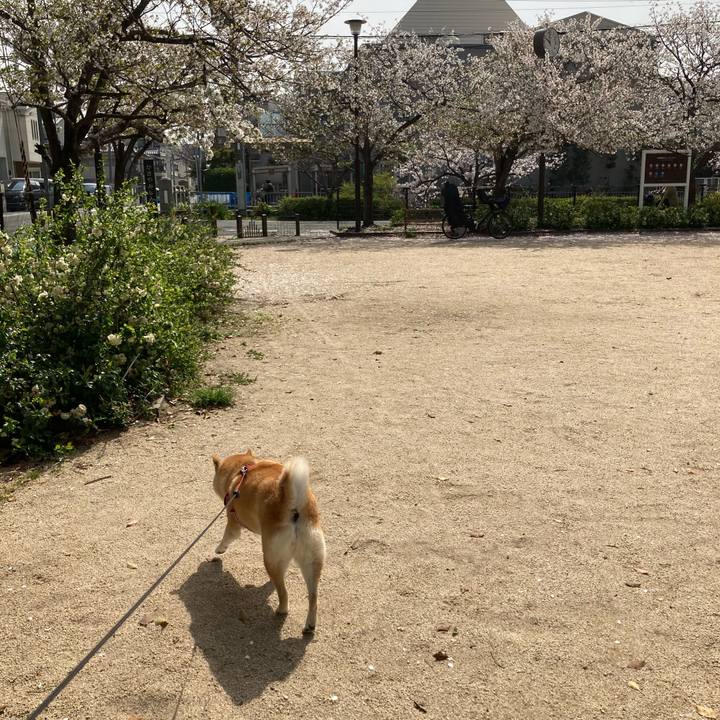 A8a01147 3137 473f b0ae 45da0c84cf3f 1617020972727