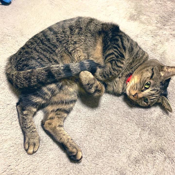 A8a02f4a 6bec 4adf bf00 d47b3fca79a1 1576552350386