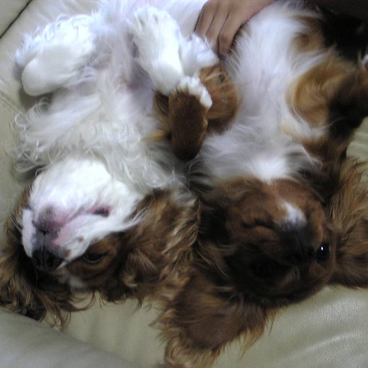 A8a035dd 4c61 4387 b08f d1445969d8aa 1513634651947