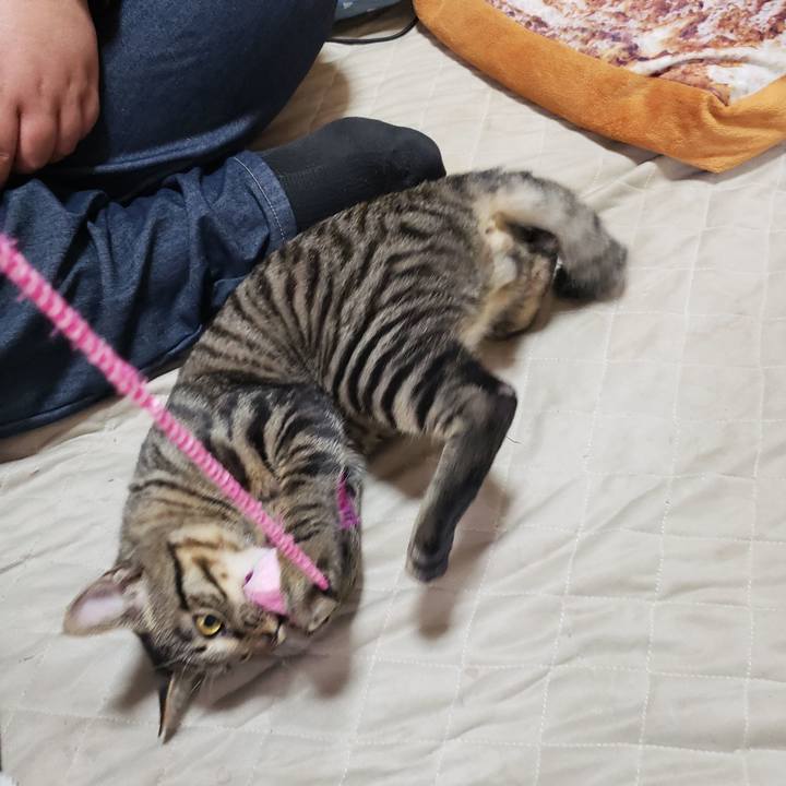 A8a0415e 4d09 4363 8b21 5258936f8f37 1543541902478