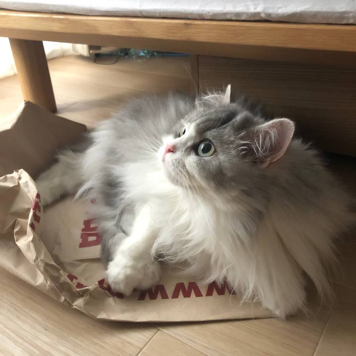 A8a06498 ae36 4efa a240 6386b4bcea0b 1595836095271