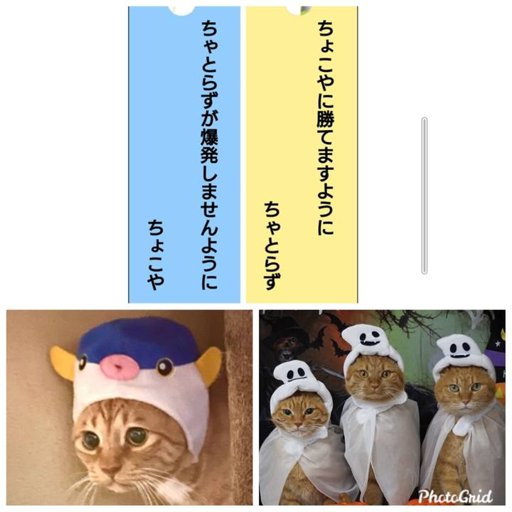 A8a070f6 ca3b 4b4b afe3 b31dd8d1ca2f 1625735131052