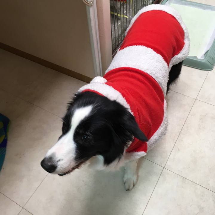 A8a0b5e3 8866 4483 a909 1ce4d393fac2 1516784614124