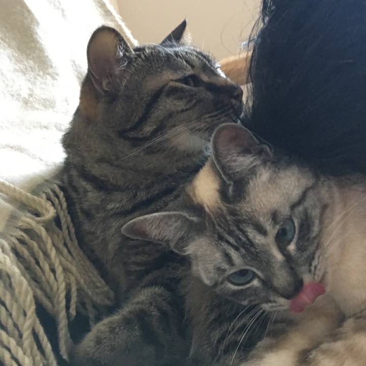 A8a0bdc4 88b2 452f 984d 57946b53e84a 1587865706643