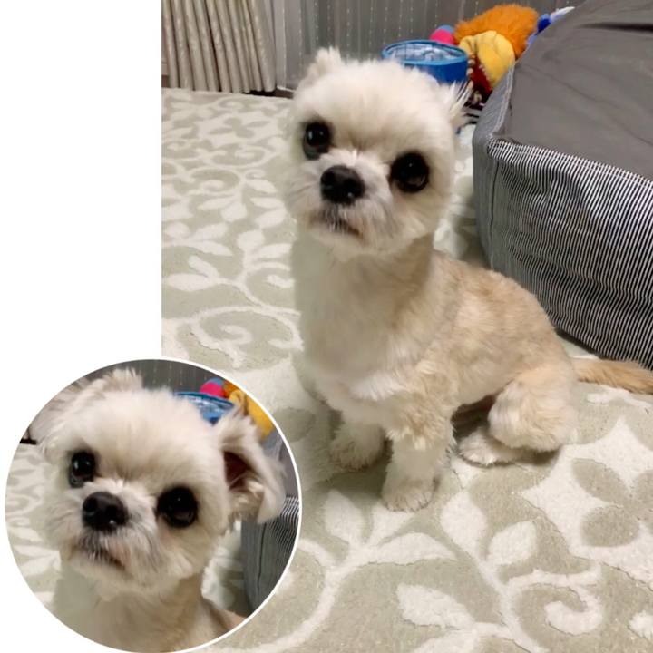 A8a0c460 2142 4d69 9b3f 2e064b92a372 1551178604730