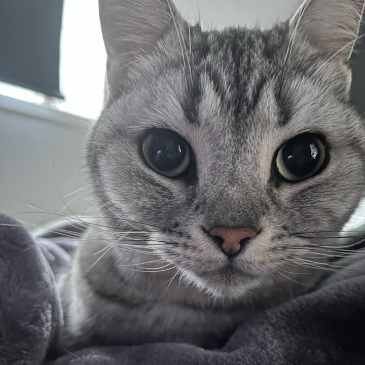 A8a0cc3b 41c9 438e a088 607bd615dbeb 1709851178968