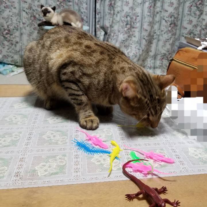 A8a0d01c b293 457a 8c6d 084ecc567dd2 1599735001658