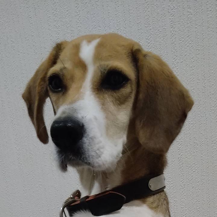 A8a0e542 e019 4930 894a 4c23fdf31c88 1637411989525