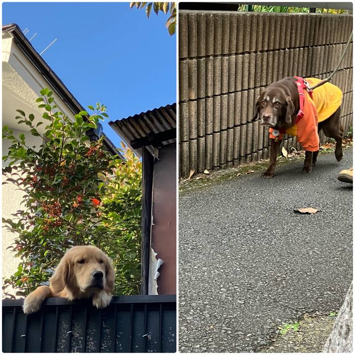 A8a0ed70 9c92 4948 b7b5 b53161833f61 1762667092548