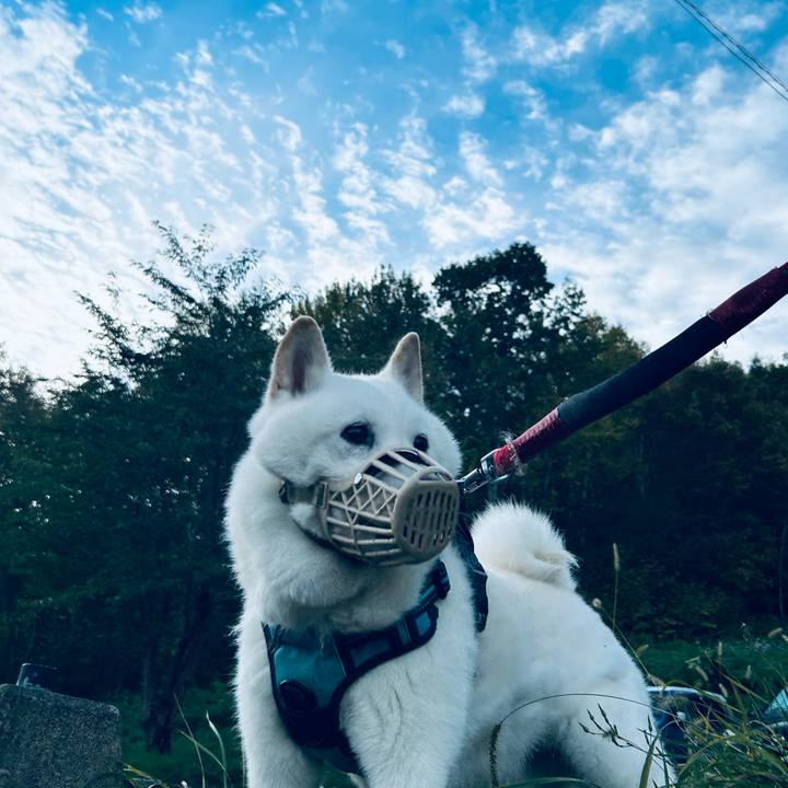 A8a1319b 662a 46b8 9e48 a0a904246808 1728944970924