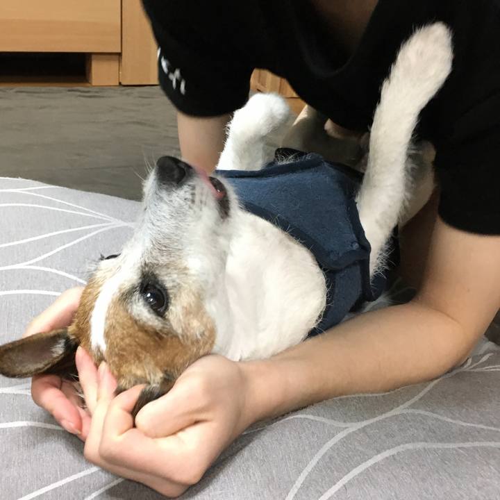 A8a15606 3819 4282 8f78 c091ae4c9ee0 1639005934386