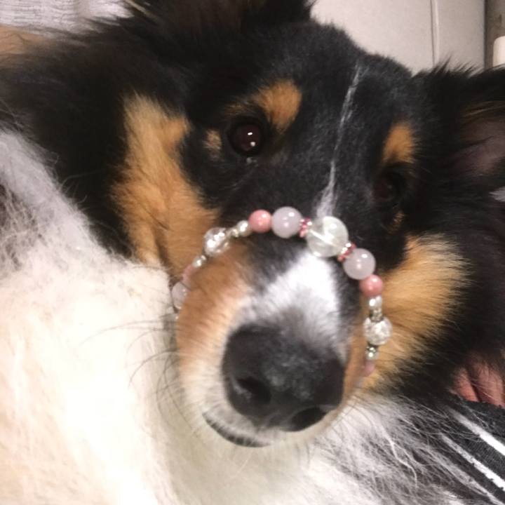 A8a160ca 48a9 4e45 9ff3 77c6a914d53f 1537303741916