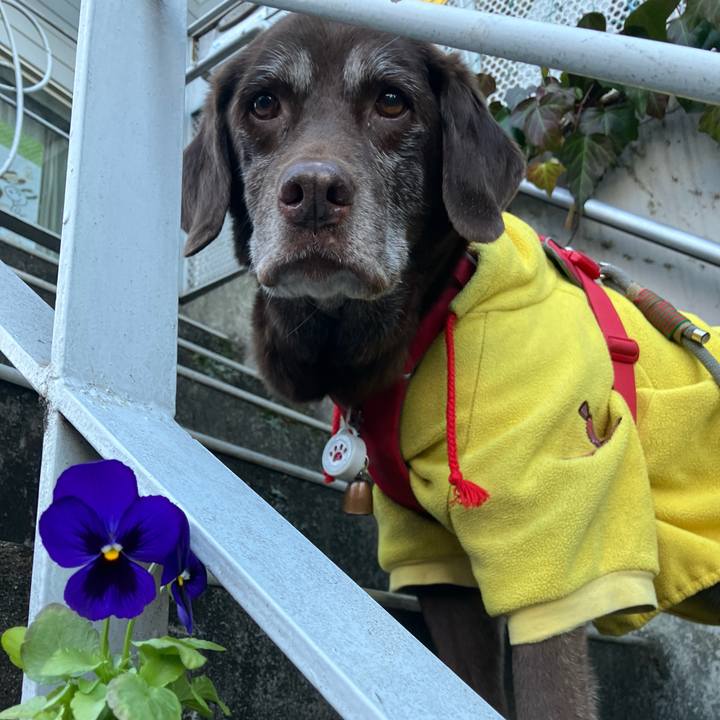 A8a19db3 ccfb 466e 8bfe f0e93f84f74b 1768121795650