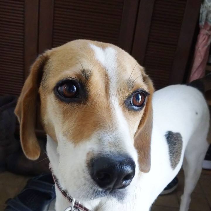 A8a1b0e0 6ce9 419e b988 bb8aa95653d5 1599010953033