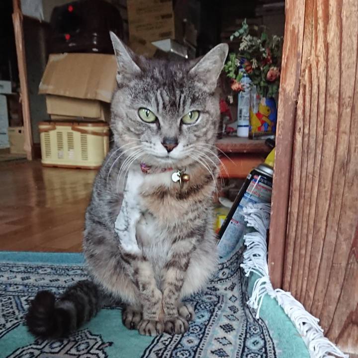 A8a1d2d9 63ae 4615 8cf0 ad7a115f8e03 1588929503225