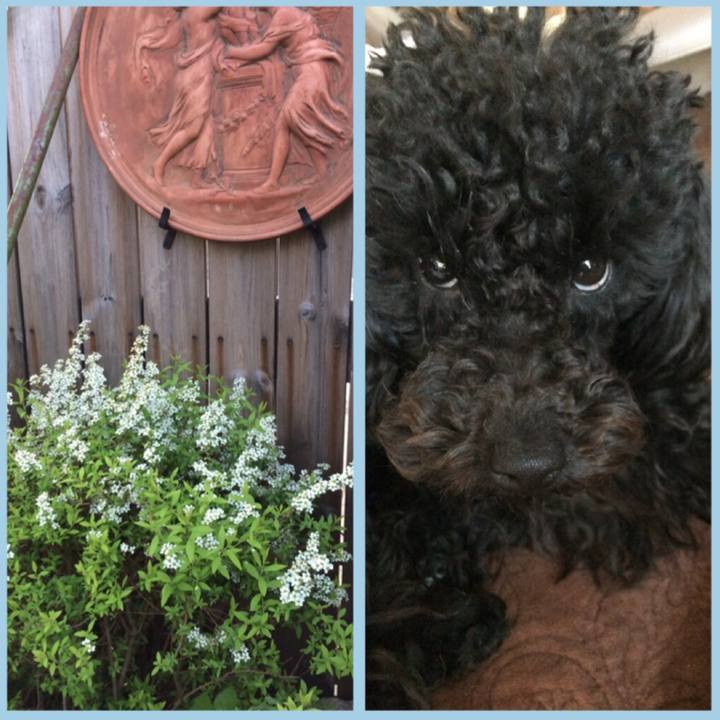 A8a212d9 3774 431a 9c3e 67eaa6636c1a 1523226353728