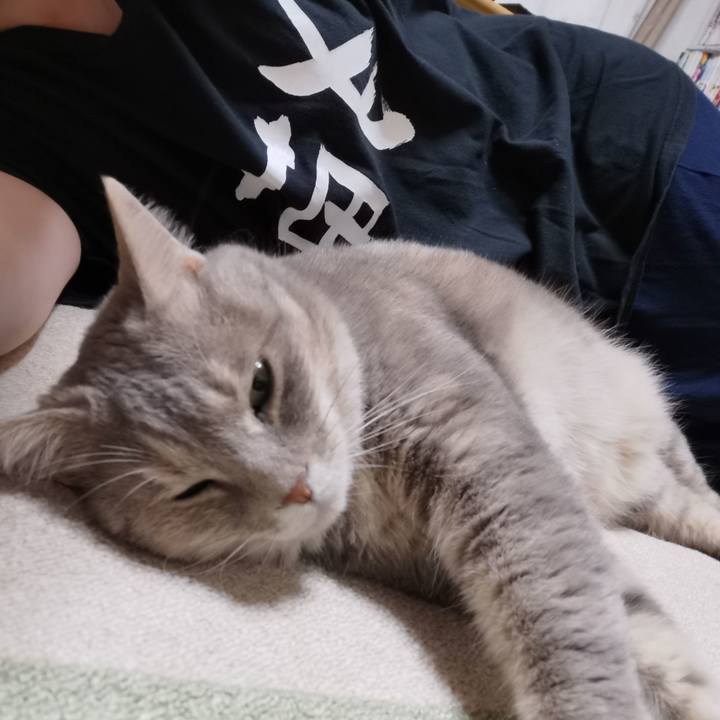 A8a23cd8 bcb6 4500 ab26 1686e65f14cb 1625496493749