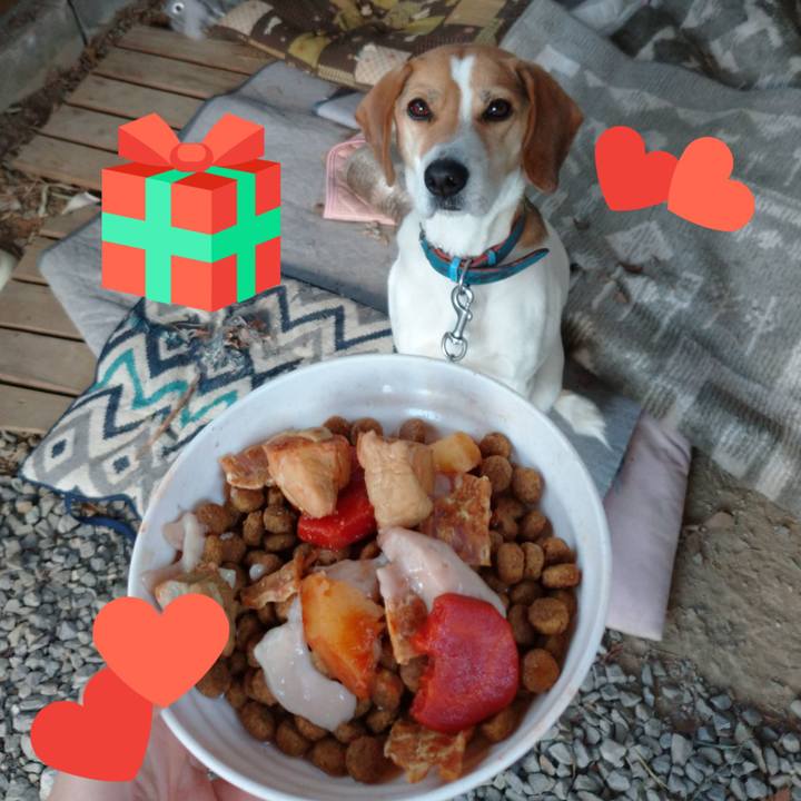 A8a24af7 2613 4600 a2c0 8914ba930419 1610275315556