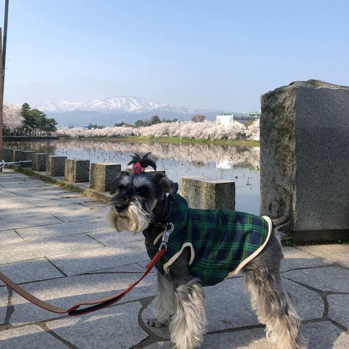 A8a28145 f0da 44c7 8786 a8f1bf21933b 1680939322727