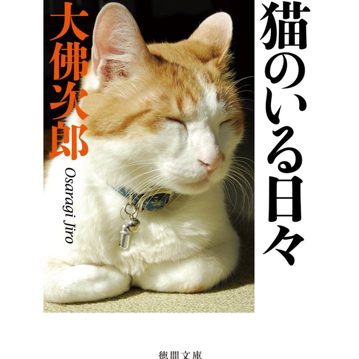 A8a28c22 5c2f 4b10 a222 3f880969c9ad 1678590137750