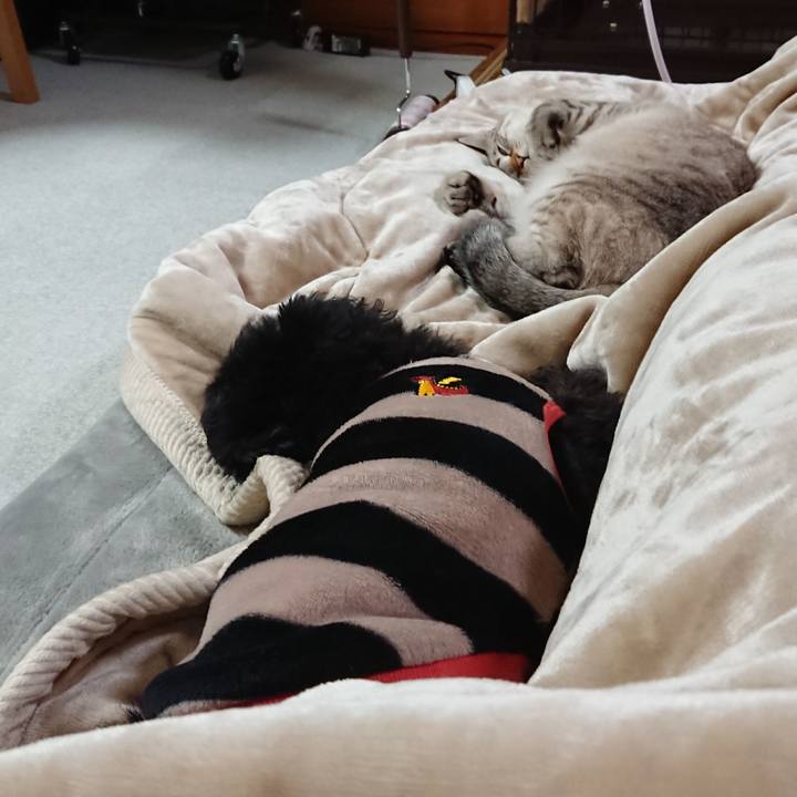 A8a29dbb f587 4f7b 9800 04b6ad31f77e 1513165413491