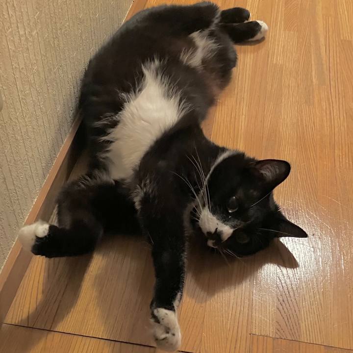 A8a2f957 2ef4 4e2e 86fc a635133f7866 1689650241330