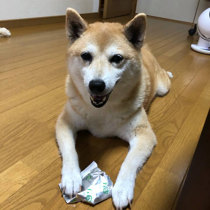 A8a316fd debc 4bb9 a7cd 78d438b3f8b6 1594211831222