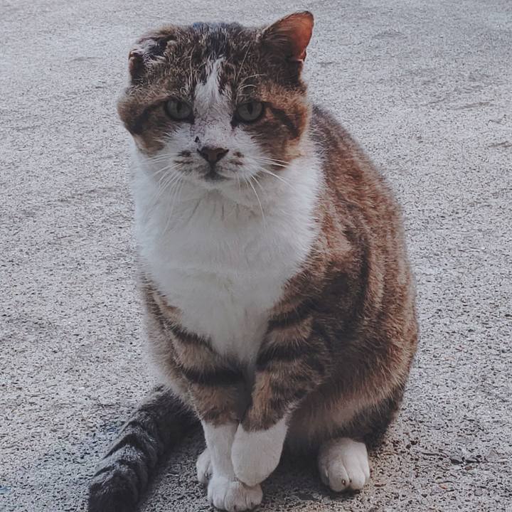 A8a31a4d 404b 4e08 a5ad a254fda35bb2 1668121804897