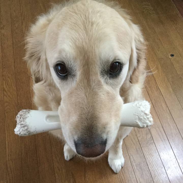 A8a37099 921d 46c5 9c1a 928406186b55 1519132124684