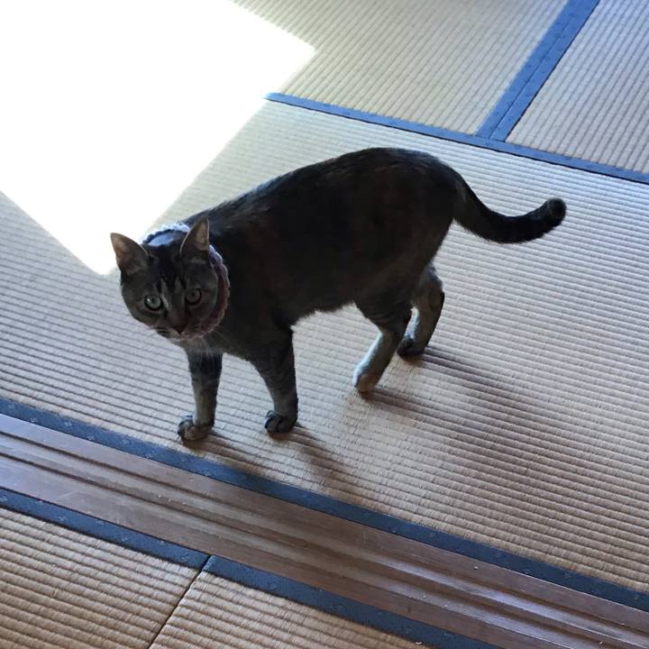 A8a3747c 5e61 4cee b003 c73d7386a51e 1618709197836