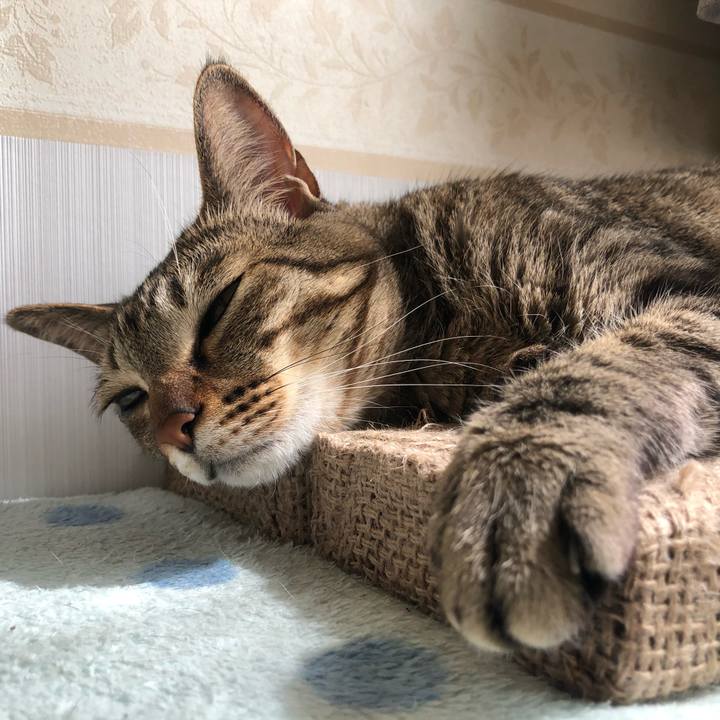 A8a3754a 49c3 417e 84b8 127d9e259082 1619382949664