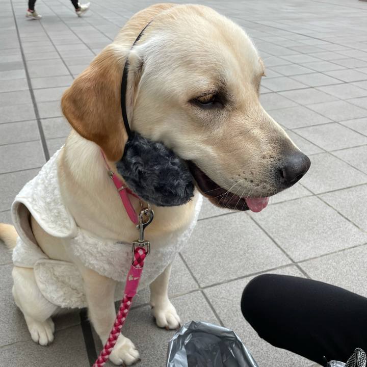 A8a3a8b5 5766 4150 8dc2 04f7700d0bb0 1635774618757