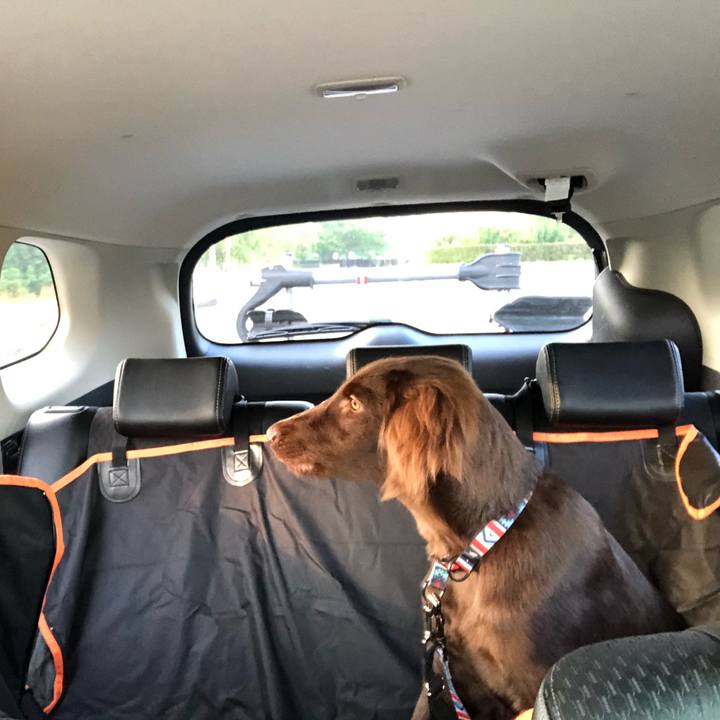 A8a3b111 1459 4c66 a3fc a6d9c36a76e3 1560939901387