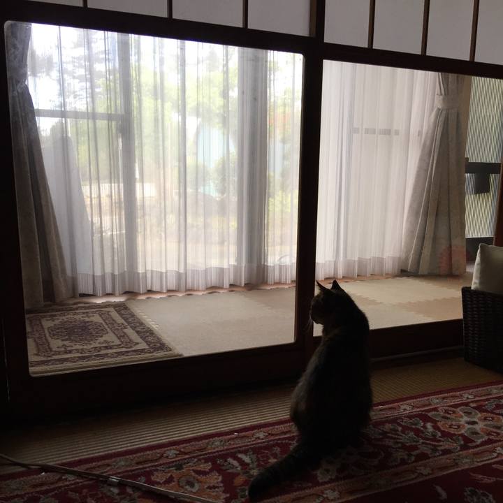 A8a3ff40 061d 4079 a541 7152cddfa960 1619919999184