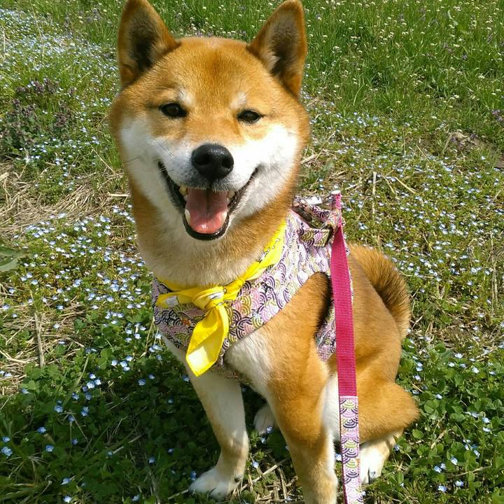 A8a41ae6 dfc8 40c0 88fe 97529b10d1c4 1521883064611