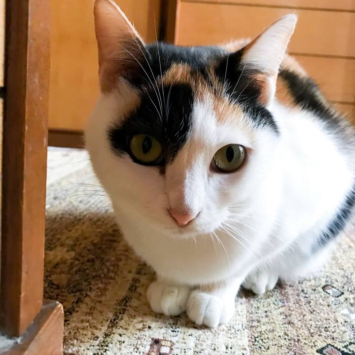 A8a41c2d 1c60 4b1b bacd 50ff84011682 1514198500820