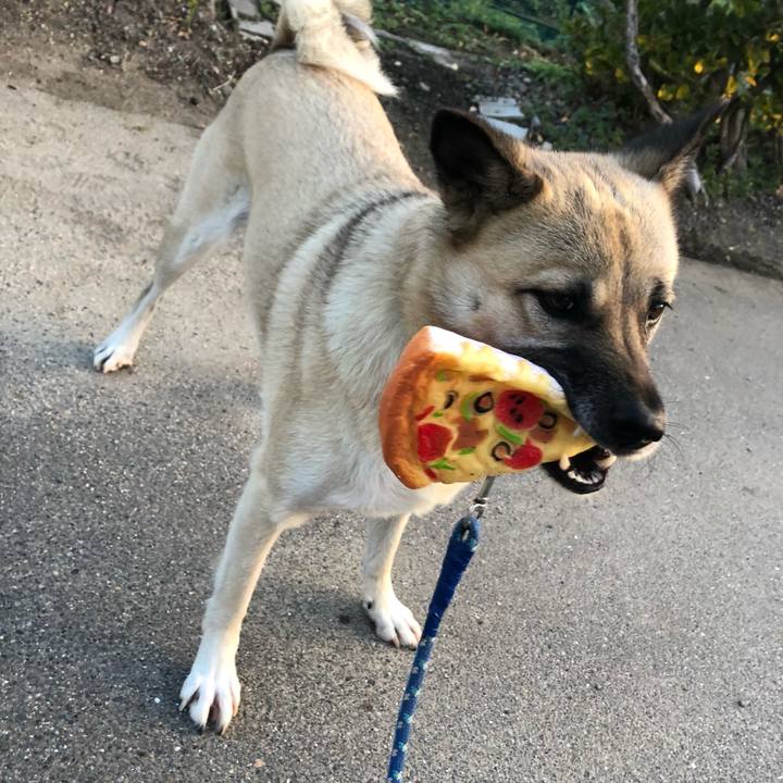 A8a41e73 dcea 431e b32f 6eb8b362c546 1607520631483